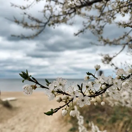 Marina Beachside * Sopot