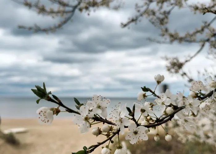 Marina Elegance 4* Sopot