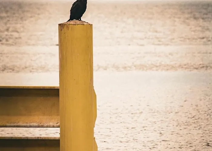 Marina Elegance Appart hôtel